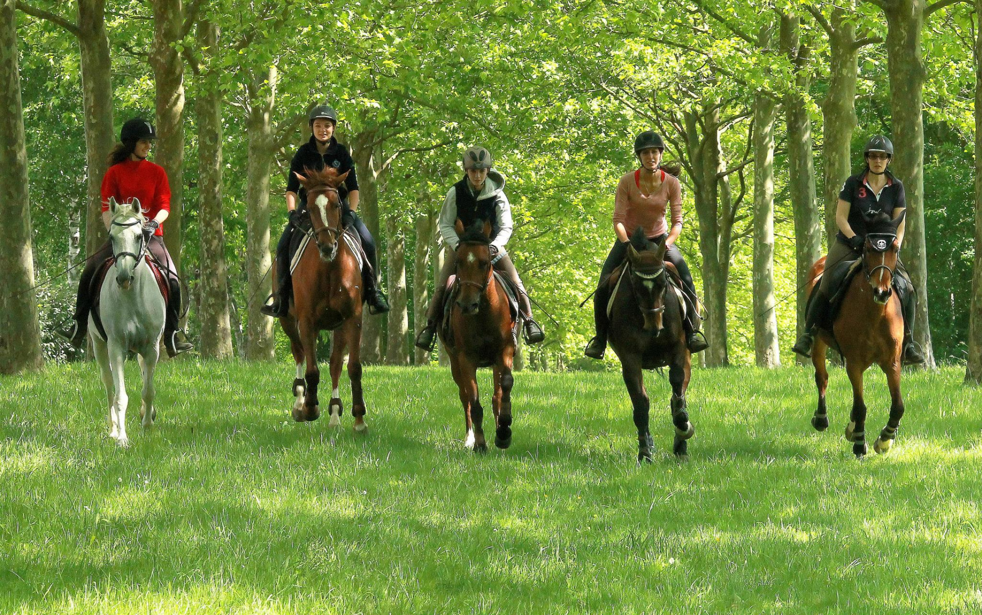 Cinq cavaliers à cheval dans une clairière