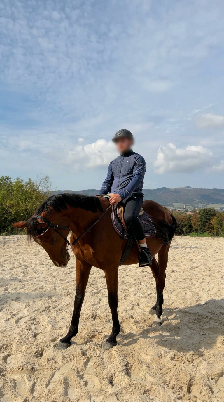 Client sur un cheval brun en carrière, visage flouté