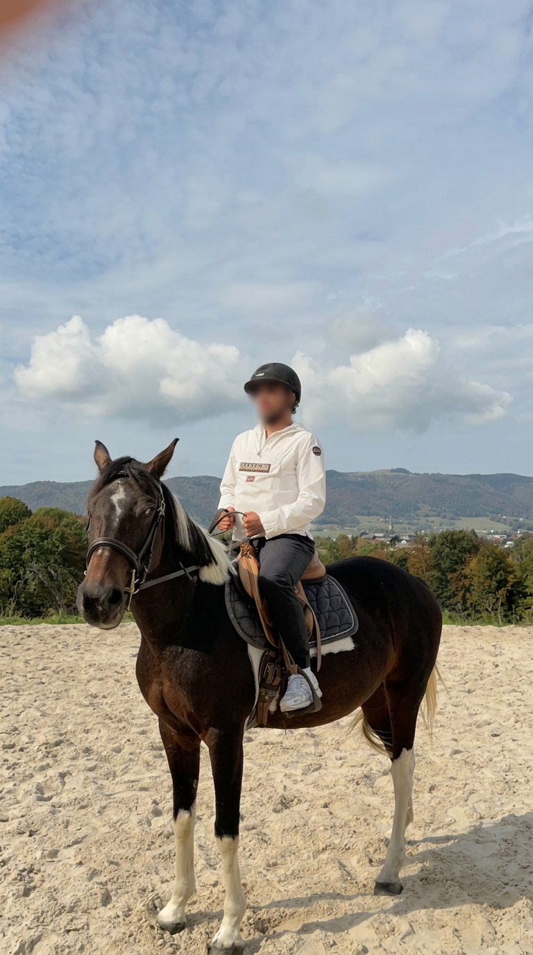 Client sur un cheval pie en carrière, visage flouté